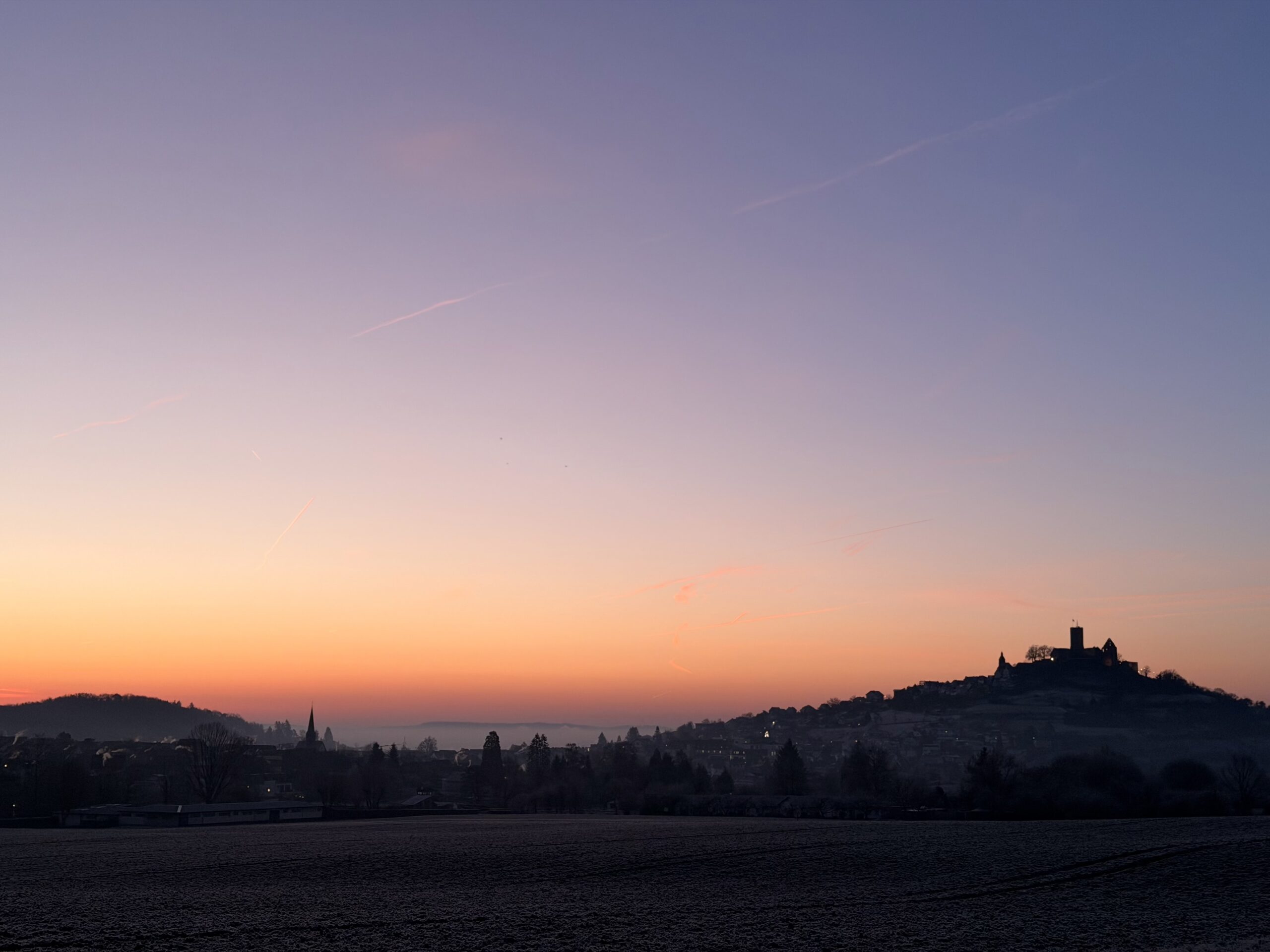 Jahreshauptversammlung